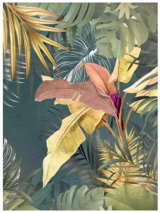 Fototapeta 3D liście monstera palmy