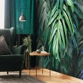 Fototapeta 3D liście monstera palmy