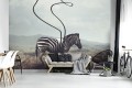 fototapeta zebra zwierzęta fototapety