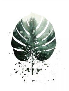Fototapeta 3D liście monstera palmy