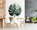 Fototapeta 3D liście monstera palmy