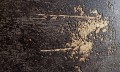 Tapeta na ścianę imitująca nowoczesny beton tynk