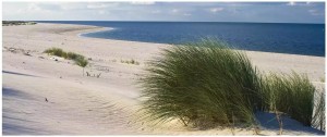Fototapeta plaża morze ocean niebo 250x104