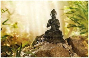 Fototapeta do salonu gałązki liście budda