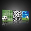 Obraz na ścianę obrazy na płótnie football 75x25