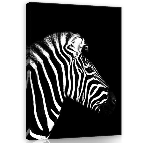 Obraz na ścianę obrazy na płótnie zebra 75x100