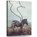 Obraz na ścianę obrazy na płótnie zebra 75x100